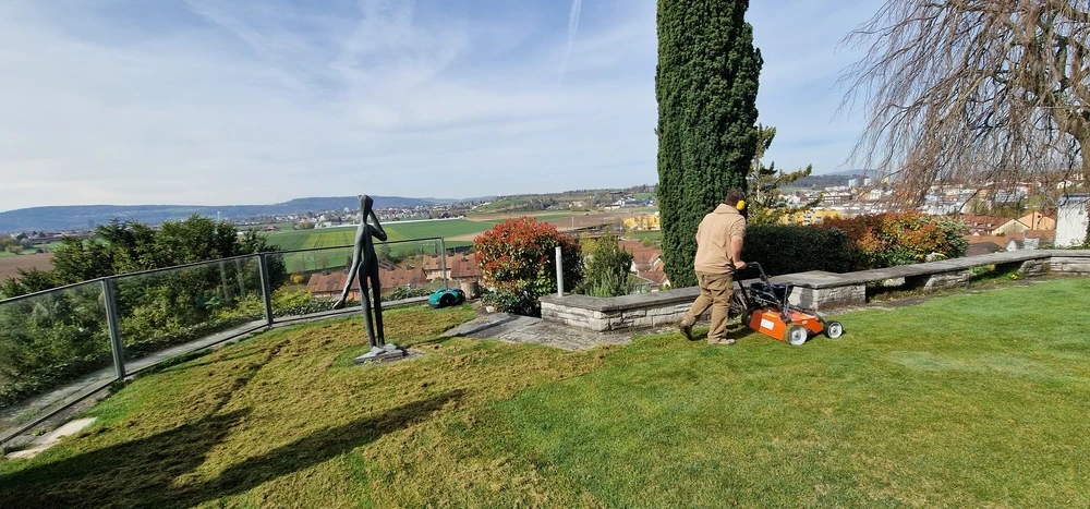 Ihr Partner für Rasenpflege in Frauenfeld - Rasenpflege Frauenfeld in Frauenfeld