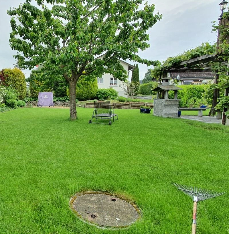 Rasenpflege Frauenfeld - Ihr grüner Traumrasen